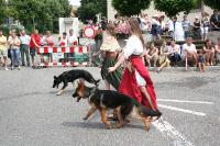 IMG_6356 (2) 
